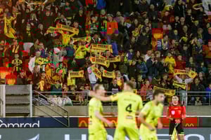 A crowd at a Wellington Phoenix A-League game holding up McDonalds supporters scarves